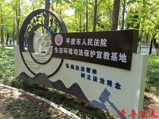 13-240P3095R31Z.jpg