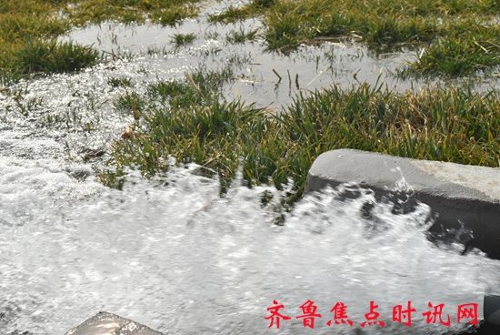 微信图片_20250227193347_副本.jpg