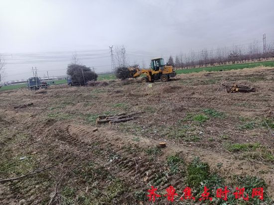 微信图片_20250319194545_副本.jpg