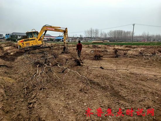 微信图片_20250319194552_副本.jpg