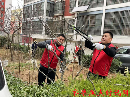 图片2_副本.png