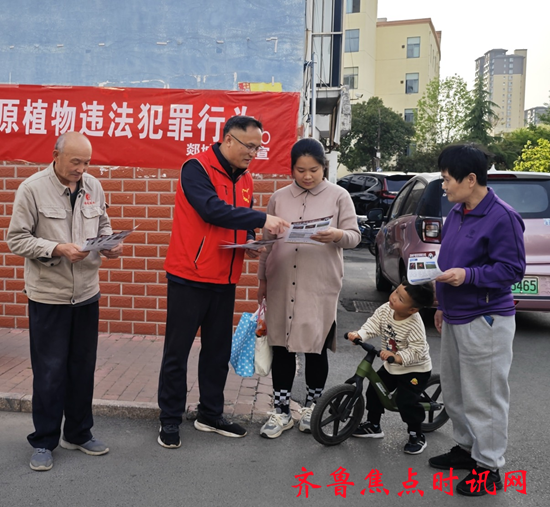 图片10_副本.png
