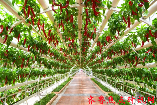 图片10_副本.png