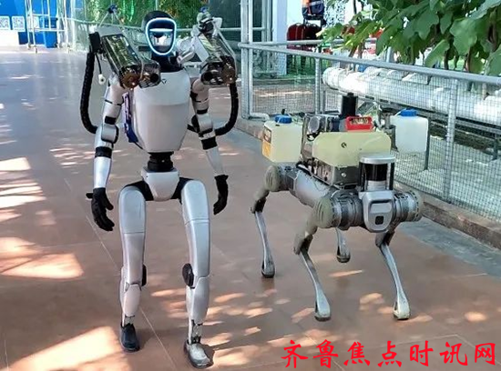 图片12_副本.png