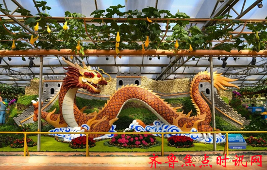 图片14_副本.png