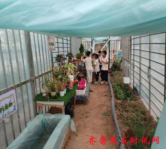 图片2_副本.png