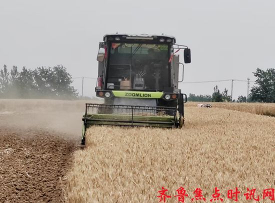 微信图片_20250526205406_副本.jpg