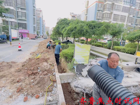 图片1_副本.png