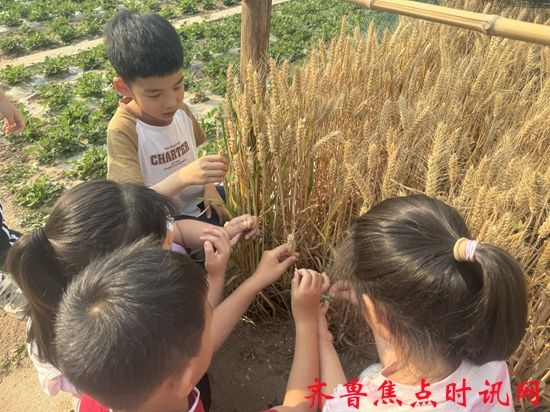 微信图片_20250605212818_副本.jpg
