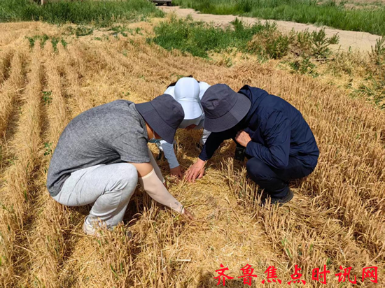 图片1_副本.png