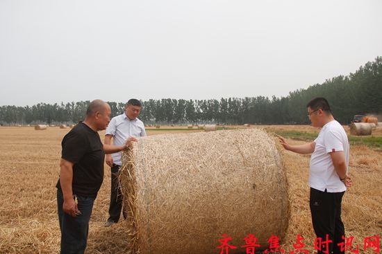 微信图片_20250611204117_副本.jpg