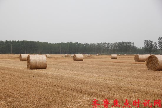 微信图片_20250611204126_副本.jpg