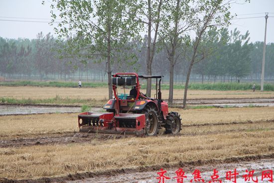 微信图片_20250615082736_副本.jpg