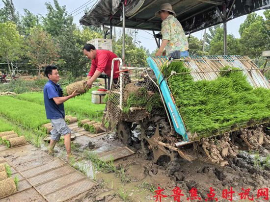 微信图片_20250615082745_副本.jpg