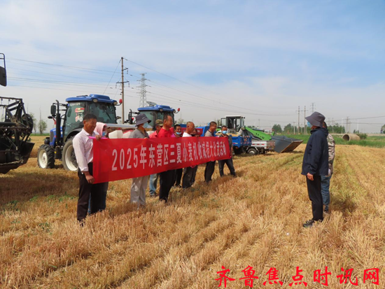 图片3_副本.png