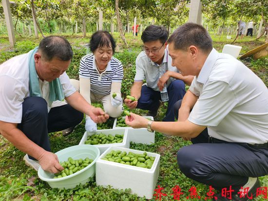 微信图片_2025-08-19_170026_621_副本.jpg